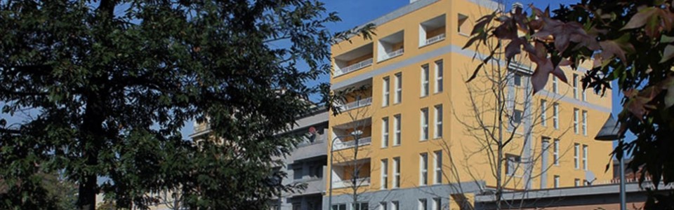 toce-testata